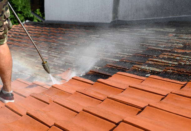 Local Pressure Washing Services in Kenneth City, FL